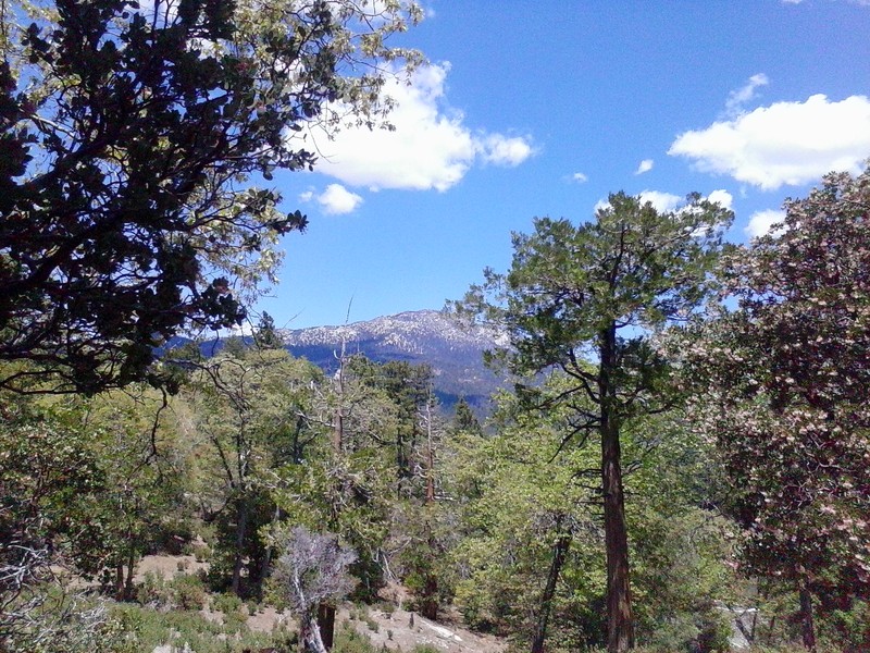 Idyllwild, CA: view from the hill