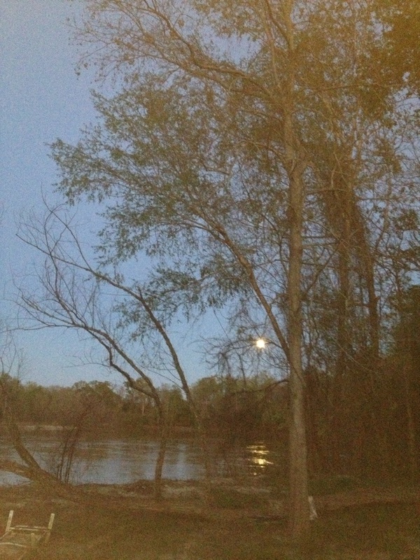 Westville, FL: Moon on riverbank