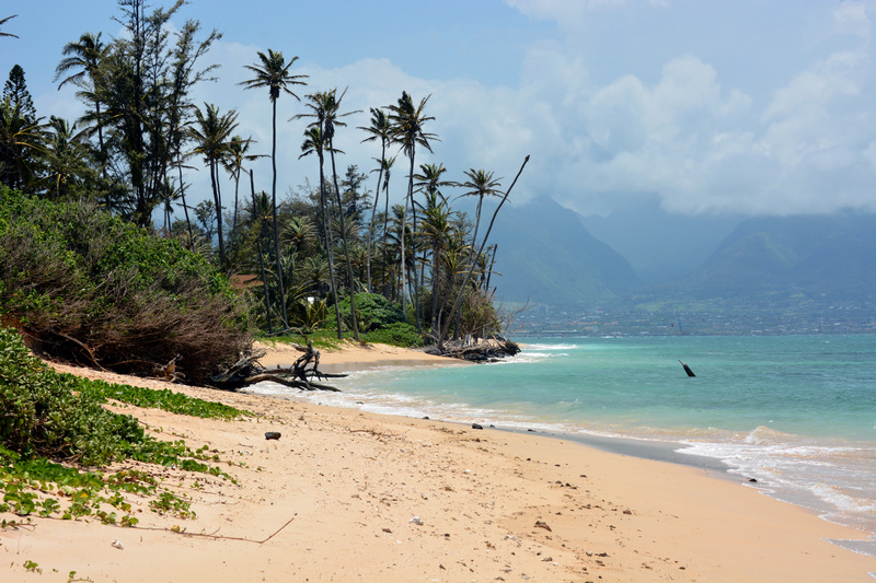 Spreckelsville, HI Beach at Sprecklesville photo, picture, image (Hawaii) at