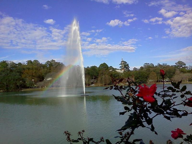 Tallahassee, FL: Lake Ella in a city park near downtown Tallahassee