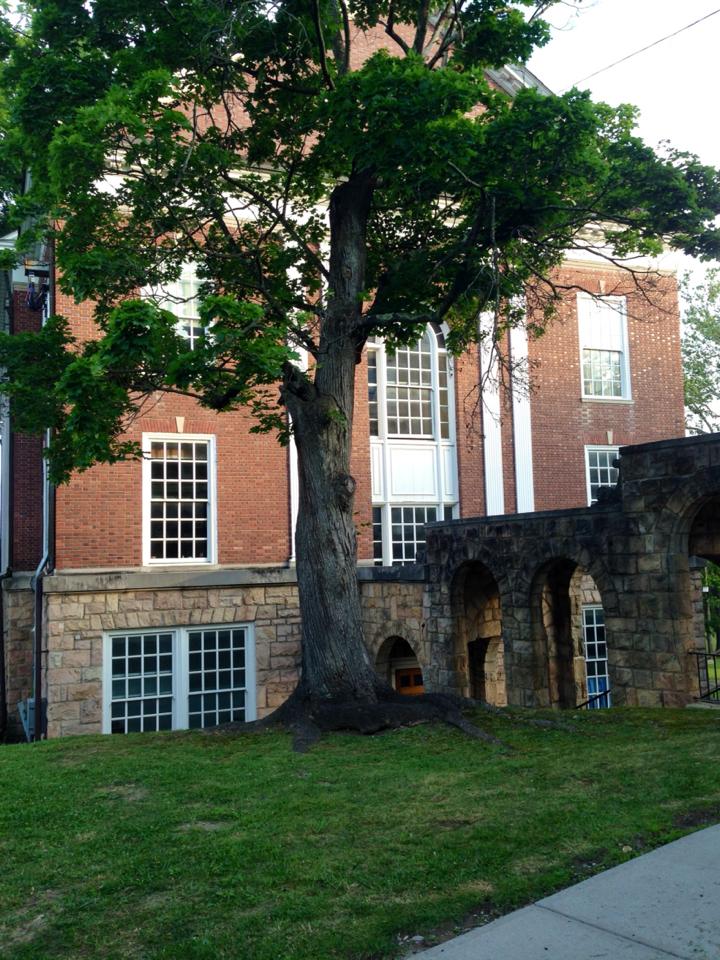 Elkins, WV: Davis & Elkins College - Stone walk-way