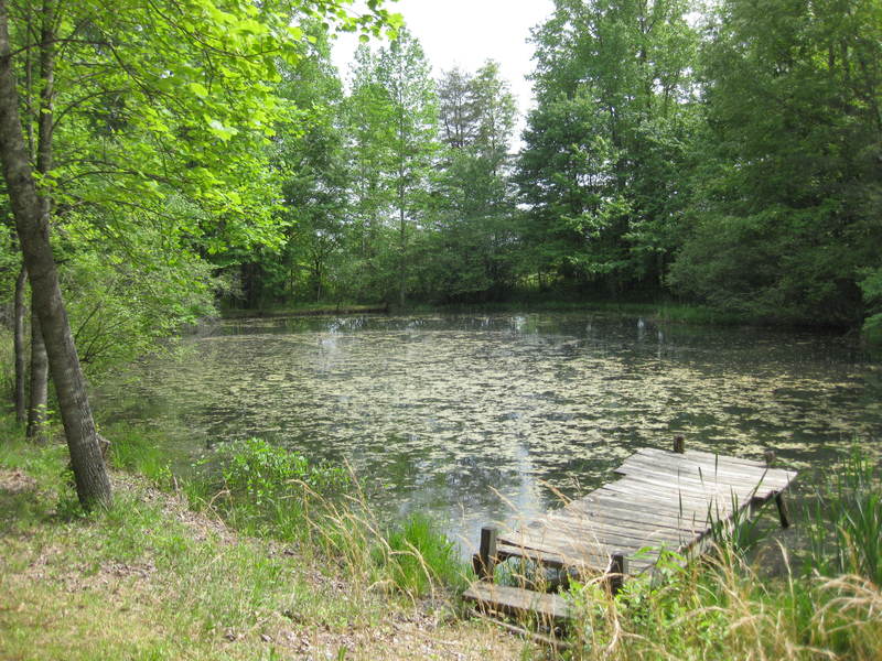 Eubank, KY: cozy pond