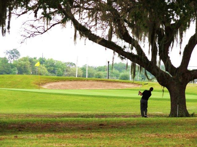 Sorrento, FL: This is a view of the 4th hole at eagle Dunes golf Course.