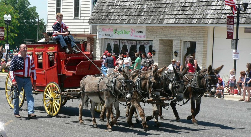 Sharon, WI: Four donkey team, 4th of July parade 2013