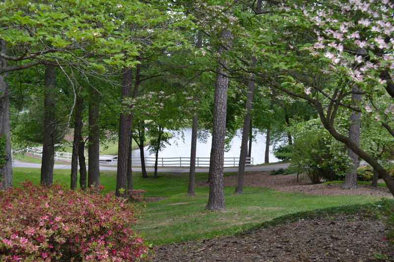Danville, VA: Lake at Goodyear Golf Course