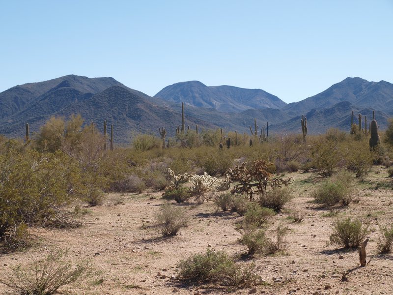 Gila Bend, AZ: sonoran desert national monument, gila bend, az
