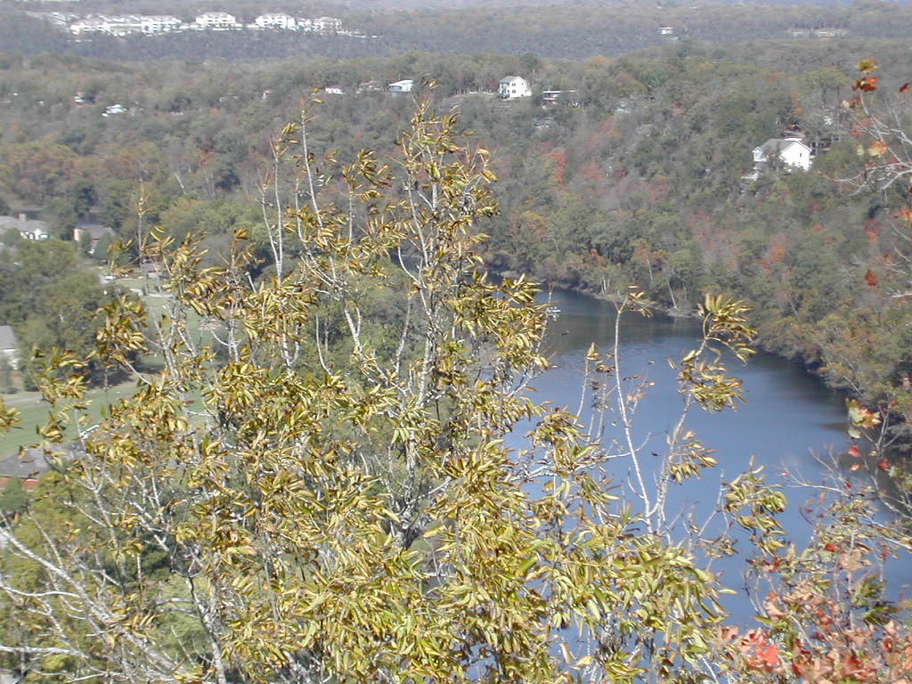 Branson, MO: View from Table Rock MO