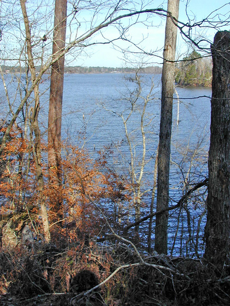 Boyce, LA: KincaidLake view from Wild Azalea Trail near Boyce, LA