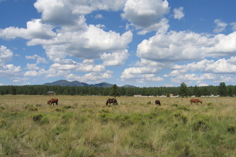 Parks, AZ: Mountain Rose Ranch