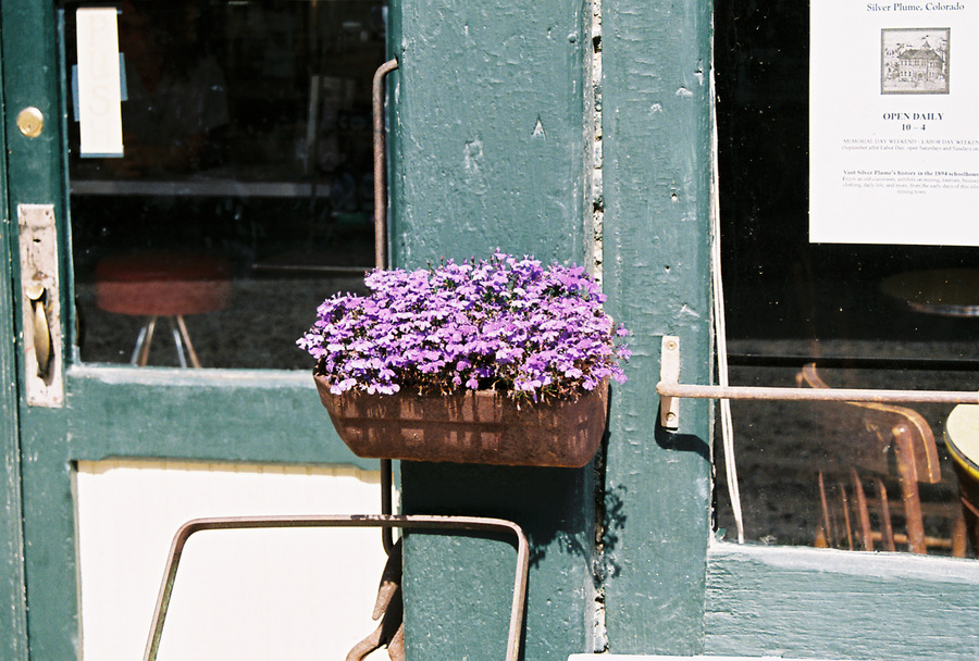 Silver Plume, CO Tea & Antiques at Silver Plume photo, picture, image (Colorado) at