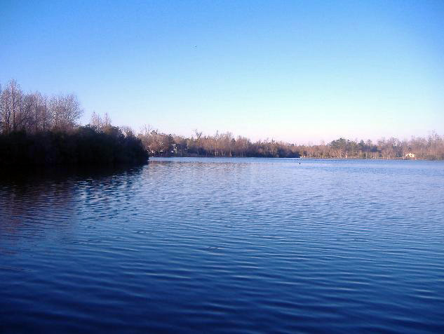 Goose Creek, SC: The Crowfield Lake in Goose Creek.