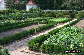 Mount Vernon, VA: garden