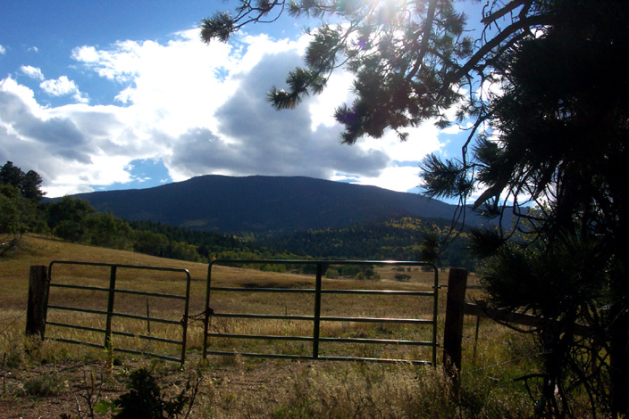 Colorado City, CO: Pasture in San Isabel, Colorado.