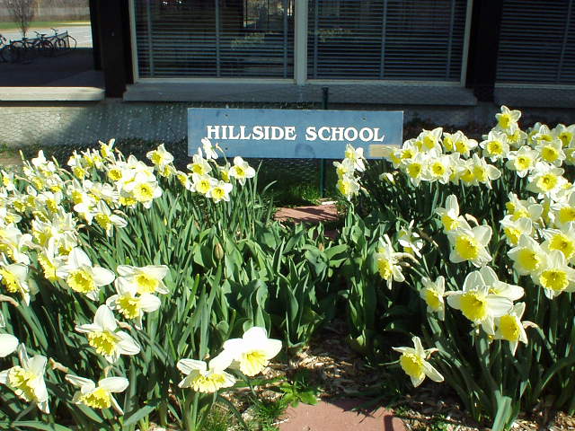 Needham, MA: Spring at Hillside Elementary School