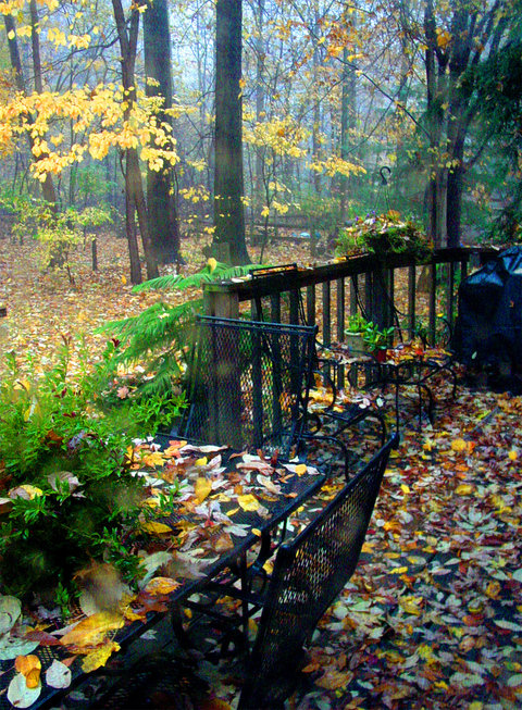 North Ridgeville, OH: fall porch