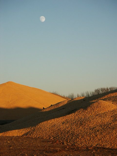 Kiester, MN: Fall harvest in the country