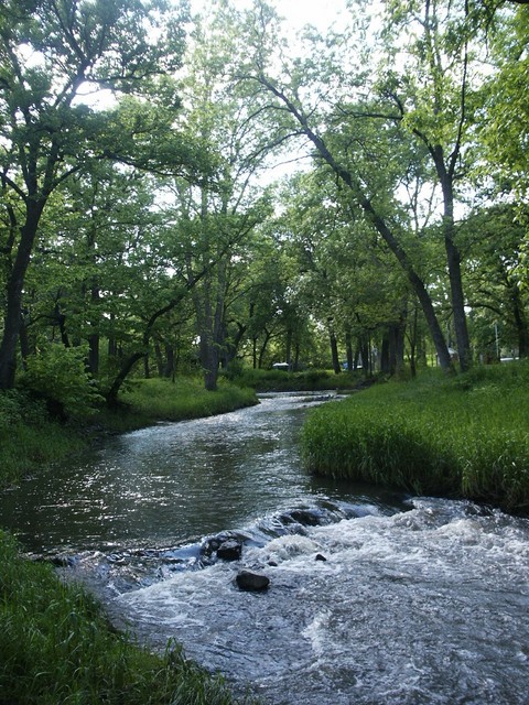 Fertile, IA: Park stream