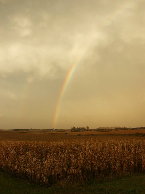 Kiester, MN: Country blessings on the edge of Kiester