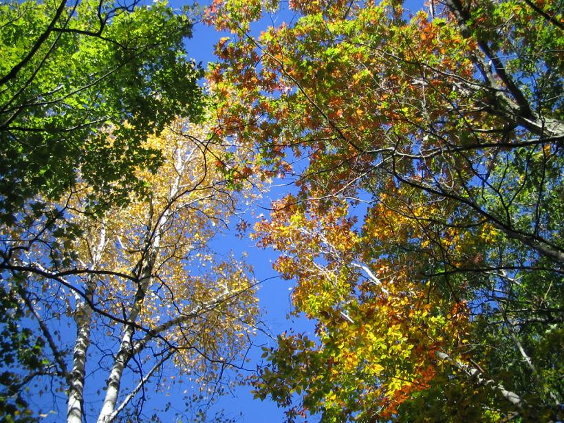 Sturgeon Bay, WI Peninsula State Park Sturgeon Bay, WI photo