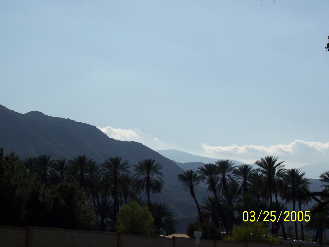 Palm Desert, CA: A typically gorgeous view in Palm Desert, California