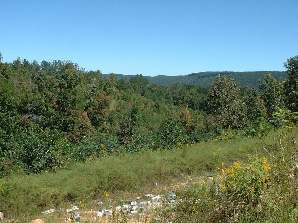 Sylvania, AL Sylvania, Alabama photo, picture, image (Alabama) at