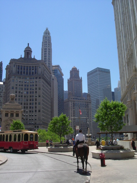 Chicago, IL: South on Michigan Ave. in front of Wrigley Building