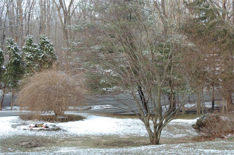 Lewisboro, NY: A Typical South Salem Winter Scene