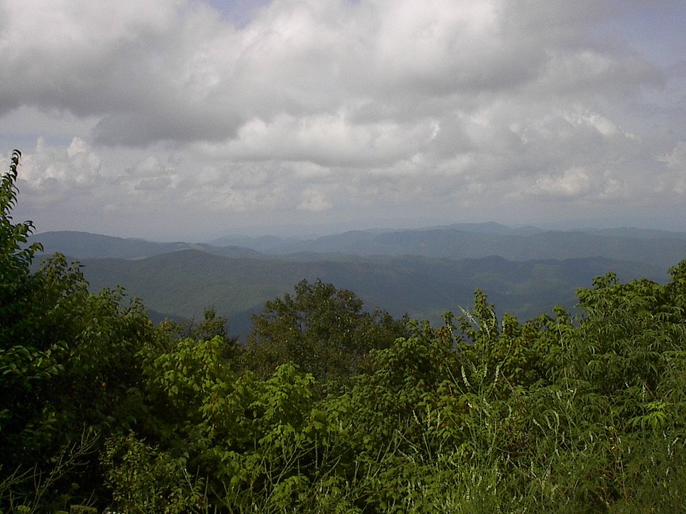Roan Mountain, TN View from the top of Roan Mountain, Tennessee photo