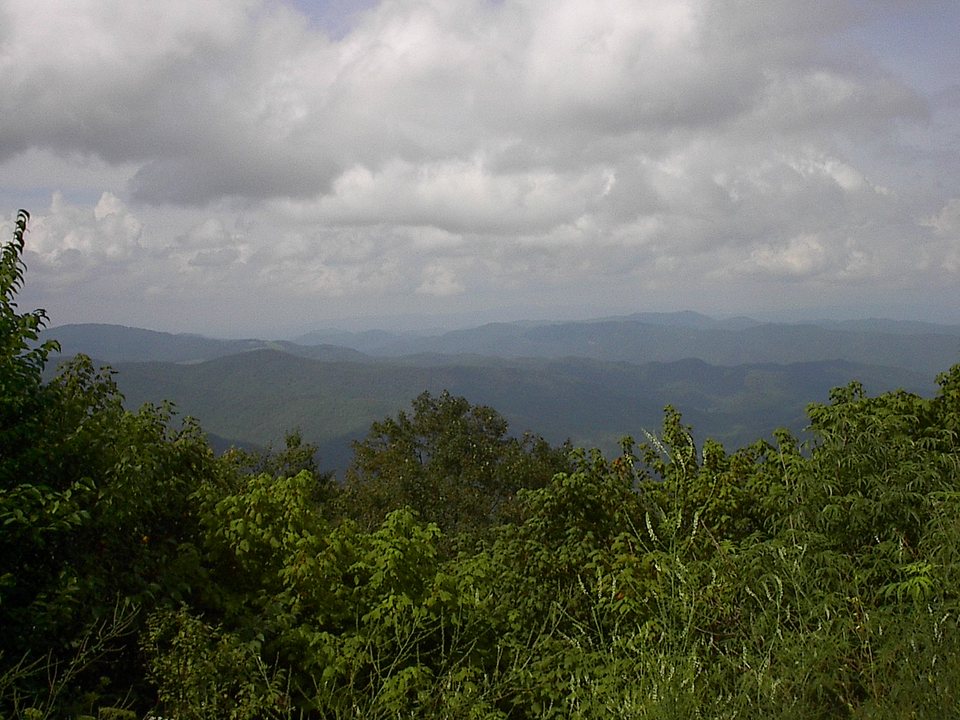 Roan Mountain, TN: View from the top of Roan Mountain, Tennessee