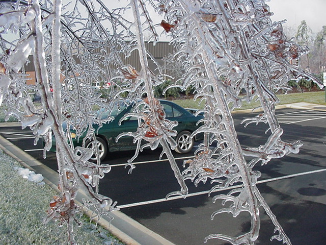Cary, NC: Icestorm in Cary. 2003.