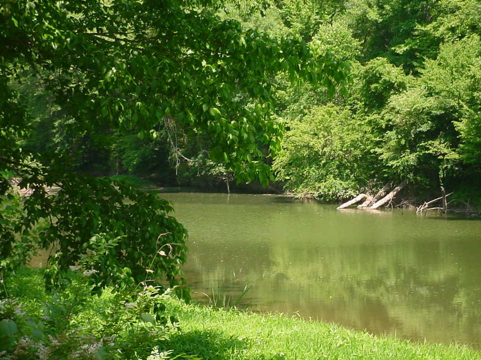 Murfreesboro, AR: Little Missouri River near State Park