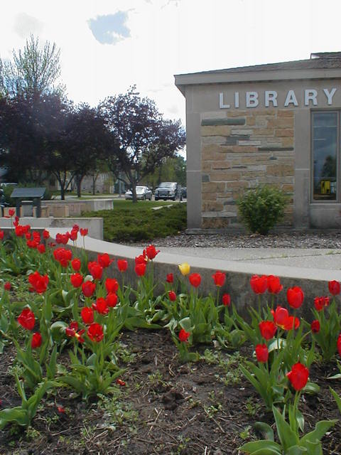 Le Sueur, MN: A shot of the Le Sueur Public Library in the spring.