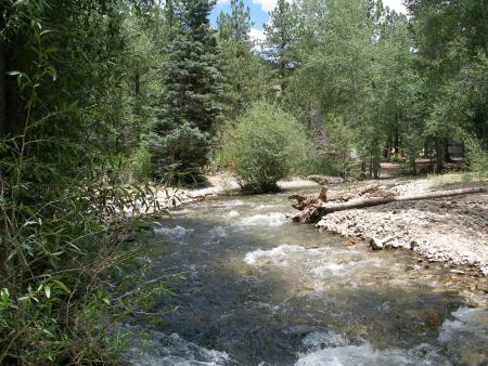 Red River, NM: Near-by river scene