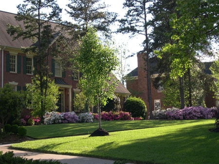 Simpsonville, SC: Simpsonville, SC Spring Azaleas