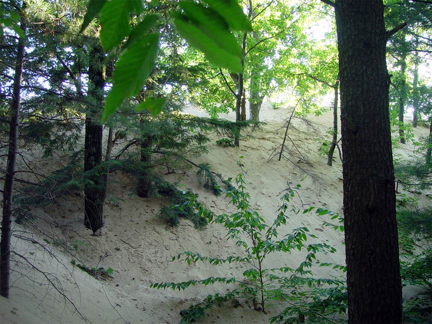 Montague, MI: Silver Lake Dunes