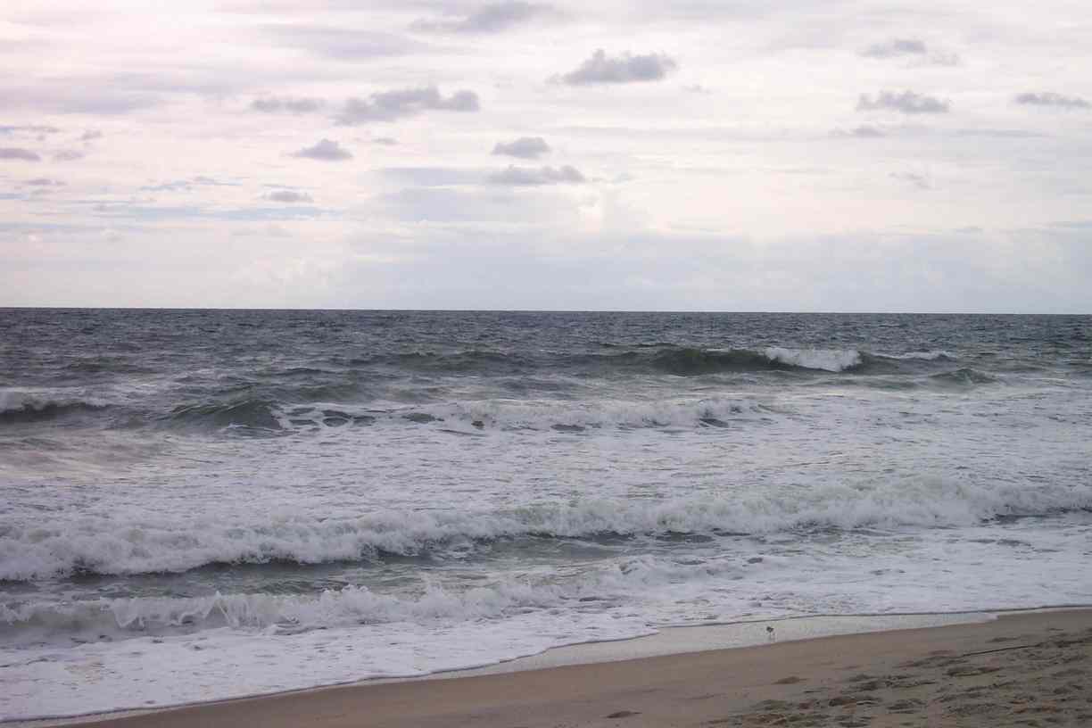 Wilmington, NC: Carolina Beach, Wilmington 8/7/05