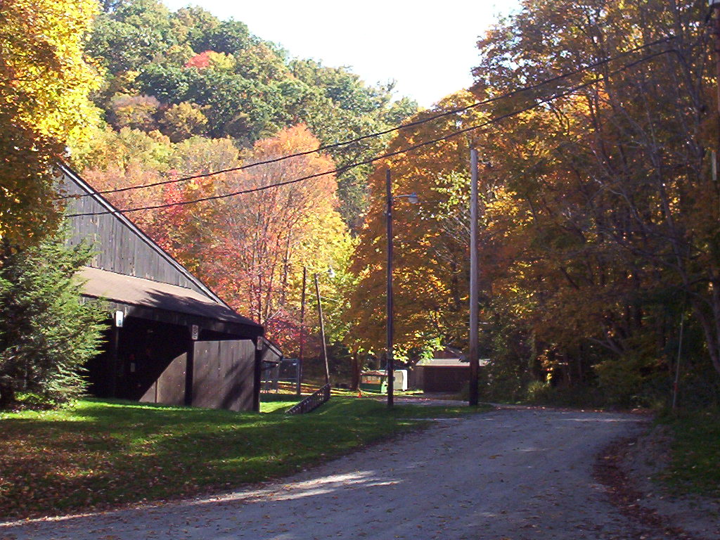 Beaver Falls, PA: Where they make their Maple Syrup in the Spring at Brady's Run,Pa. Fall 2004