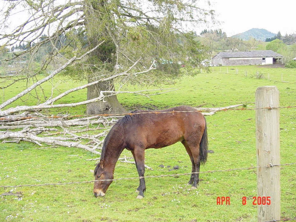 Tillamook, OR A tillamook farm photo, picture, image (Oregon) at city