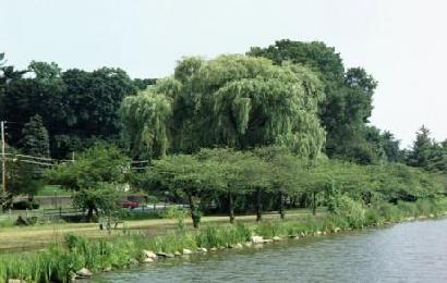 New Rochelle, NY: Huguenot Park