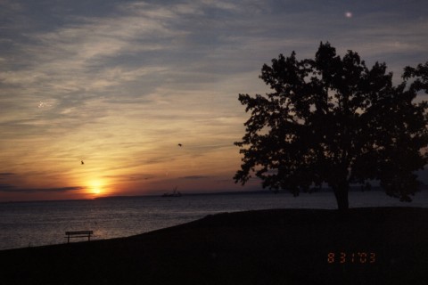 New Rochelle, NY: Sunrise at Davenport Park