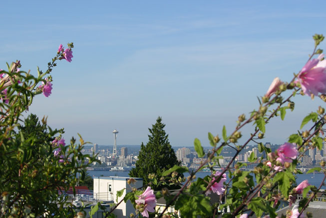 Seattle, WA: Seattle In the Summer viewed from Admiral District