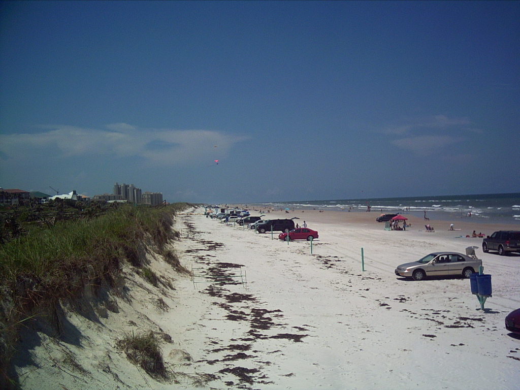New Smyrna Beach, FL: Sand Dunes at New Smyrna Beach, August 2005