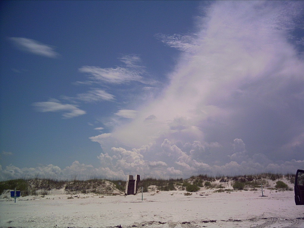 New Smyrna Beach, FL: New Smyrna Beach, skyline. August, 2005