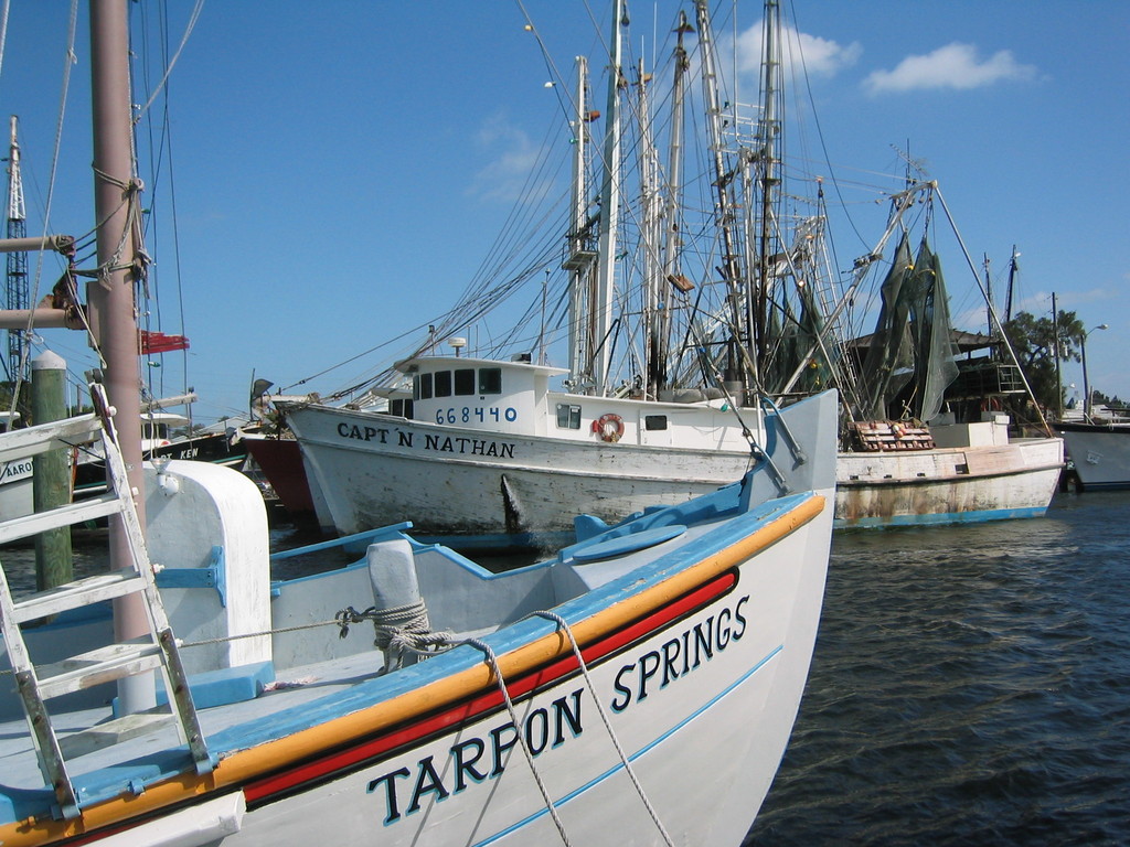 Tarpon Springs, FL: Boats docked in downtown