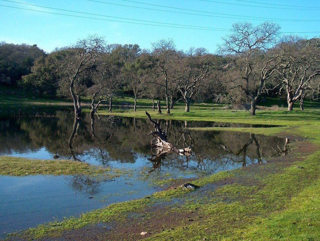 Fairfield, CA: Fairfield CA Pond at Rockville Park