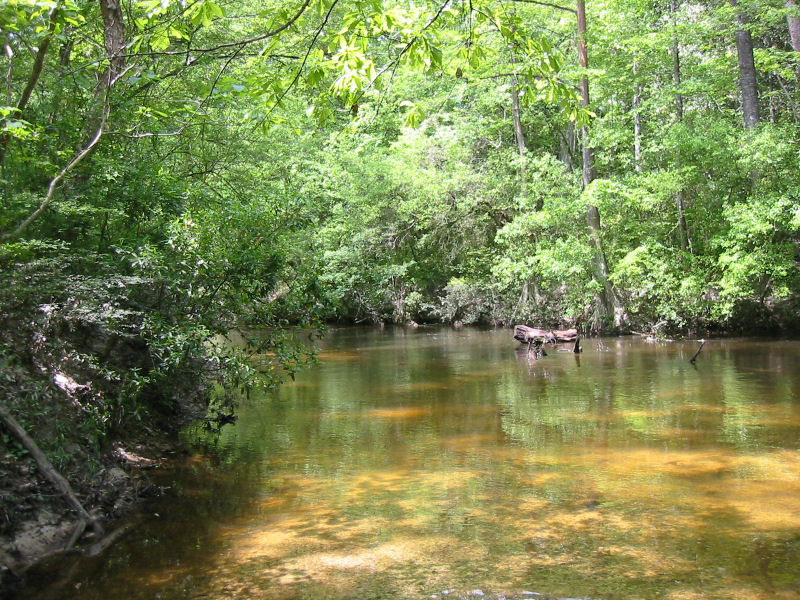 Bogalusa, LA: Bogalusa Creek