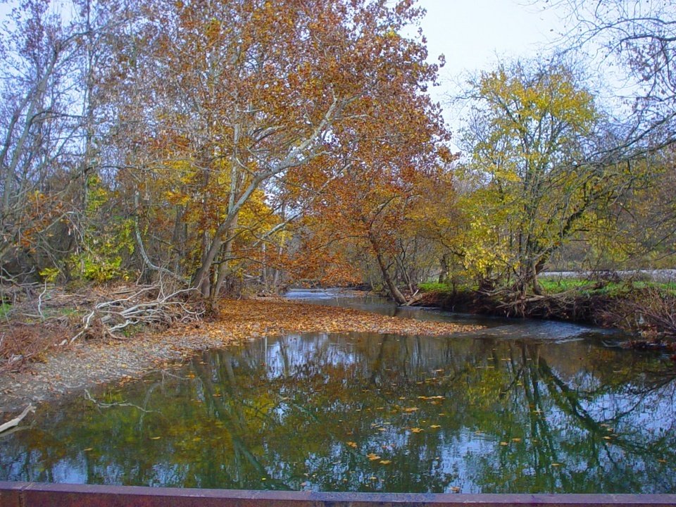 Jefferson Hills, PA: Peters Creek in autumn