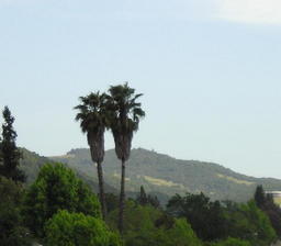 Santa Rosa, CA: Rincon Valley in Santa Rosa.