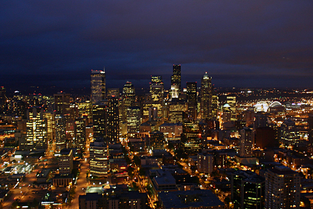 Seattle, WA: view from space neddle