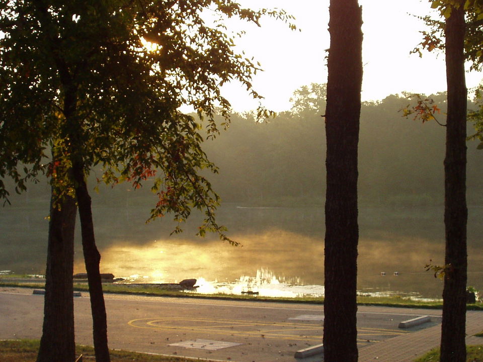 Centerville, TX: Sunshine and fog over the lake at Ft. Boggy State Park